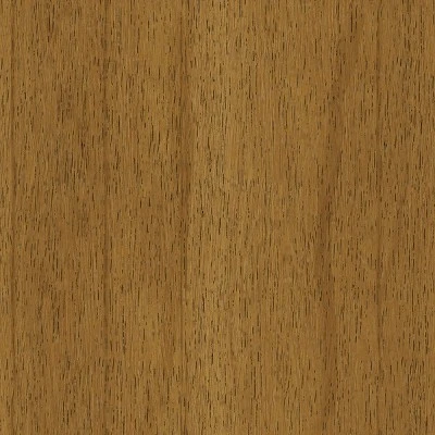 2pk Timo Dining Chair Gray - Project 62™ 6 2pk Timo Dining Chair Gray - Project 62™ - Image 6