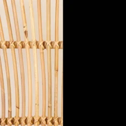 2pk Balka Rattan Dining Chair With Armrests Rattan/Black - South Shore 29 2pk Balka Rattan Dining Chair With Armrests Rattan/Black - South Shore -Baxton Studio Shop GUEST db965a4e cf6a 4872 a047 0fbf67880f13